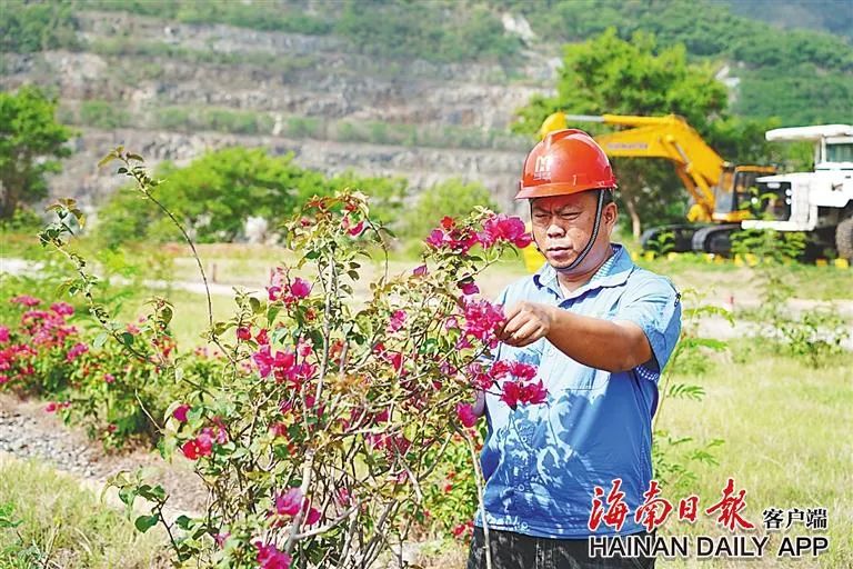 海南这座矿山，为何这么绿？4.jpg